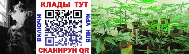 Где можно купить наркотики Миллерово А ПВП Меф мяу мяу ОМГ ОМГ вход Бошки Шишки