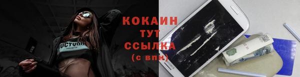 шишки Нефтегорск