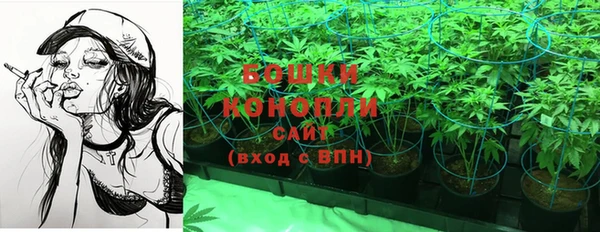 дживик Новодвинск