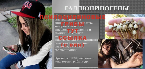 шишки Нефтегорск