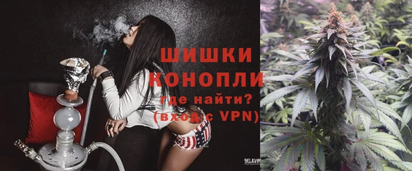 шишки Нефтегорск