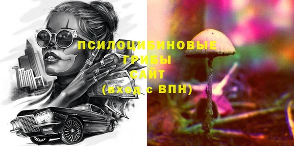 дживик Новодвинск