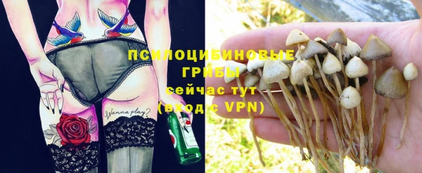 шишки Нефтегорск