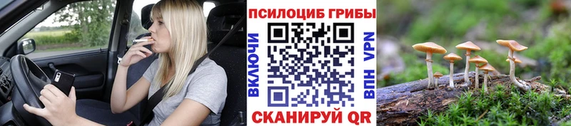 Галлюциногенные грибы MAGIC MUSHROOMS Миллерово
