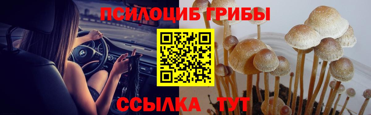 Миллерово  Псилоцибиновые грибы Magic Shrooms  Вход с VPN  Галлюциногенные грибы MAGIC MUSHROOMS 